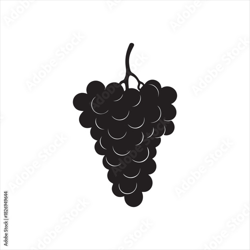 grapes vector illustration