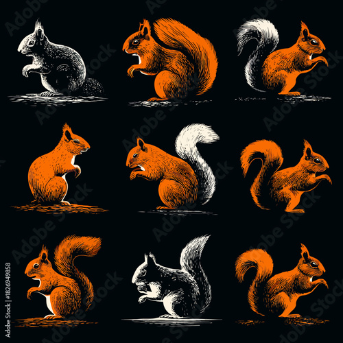 Artistic illustration of several squirrels in contrasting colors on black background