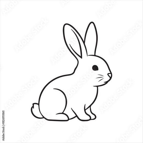 vector illustration of a rabbit