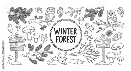 Winter forest nature elements with animals and plants in hand drawn style