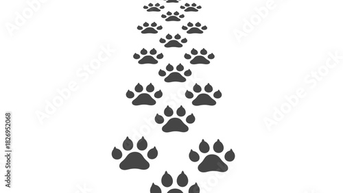 Paw prints trail down a white path, indicating animal movement.