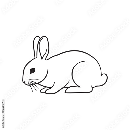 vector illustration of a rabbit