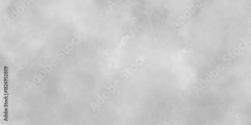 Abstract gray background soft white watercolor grunge texture. gray aquarelle painted realistic fog or mist smoky textured canvas design. white cloud paper texture design and watercolor design.