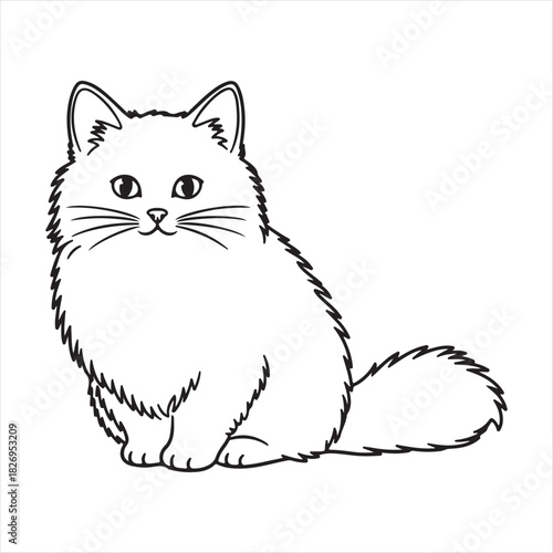 outline cat with a white background