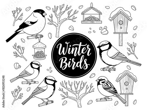 Charming winter birds in black and white line art with birdhouses and trees
