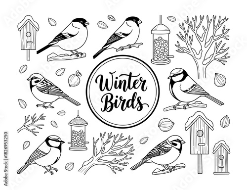 Elegant winter birds in outline style with birdhouses and branches