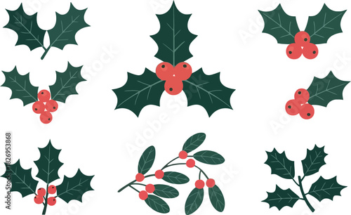 Assorted Holly Sprigs with Red Berries on White Background