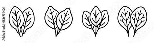 Vector illustration of spinach leaves, fresh organic greens, healthy food ingredient, outline drawing
