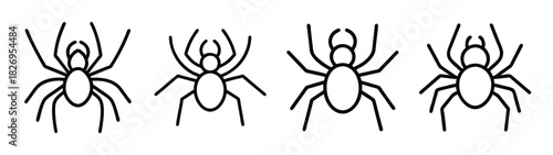 Spider illustration black and white arachnid insect halloween creepy crawly scary vector art line drawing