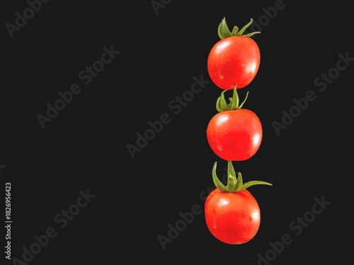 red tomatoes on a vine