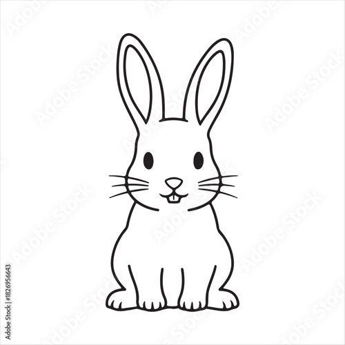 vector illustration of a rabbit