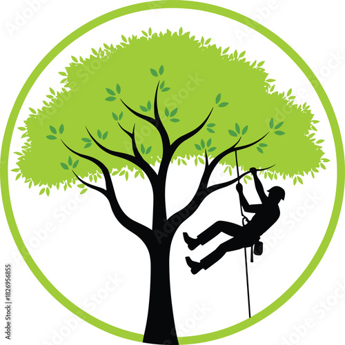 Circular vector logo showing an arborist/climber rappelling down a green tree, symbolizing tree care, trimming, and maintenance services.