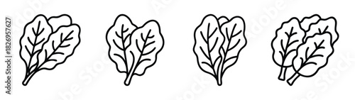 Fresh organic spinach leaves vector illustration for healthy eating and vegan lifestyle design asset