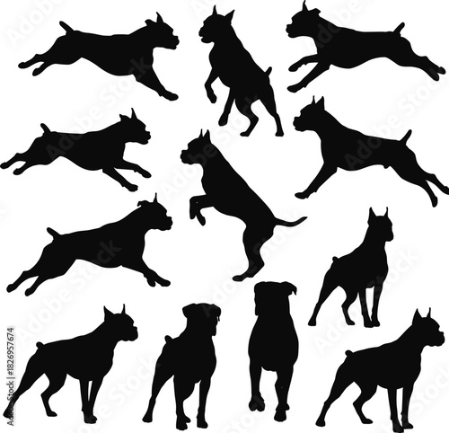 Dog silhouettes, Boxer breed, black figures, running pose, jumping dog, standing posture, animal movement, muscular build, cropped ears, short tail, expressive gesture, pet behavior