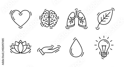 Minimalist health icons: heart, brain, lungs, leaf, lotus, hand, water, lightbulb
