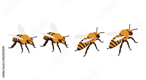 Realistic honey bees in flight on white background