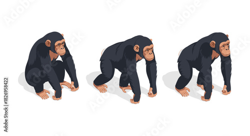 Three stages of chimpanzee movement in isometric style