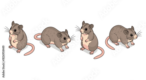 Cute cartoon mice set with different poses on white background