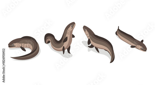 Isometric eel set with shadows on white background