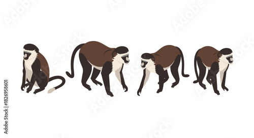Set of four isometric monkeys in various poses on white background