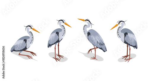 Elegant herons: detailed avian designs with character and grace