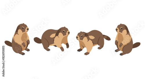 Adorable marmots in various poses on white background