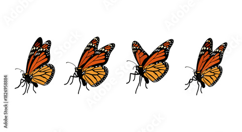 Monarch butterflies set: vibrant winged insects in flight collection