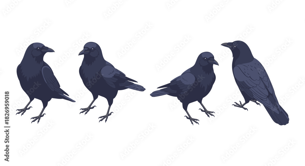 Obraz premium Crows group in detailed style on white background