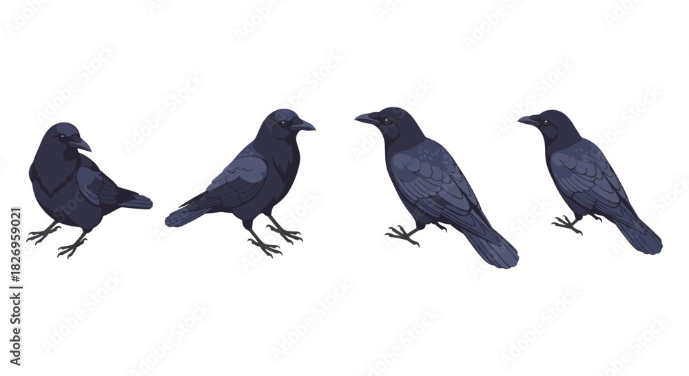 Obraz premium Realistic dark bird designs with multiple side view poses