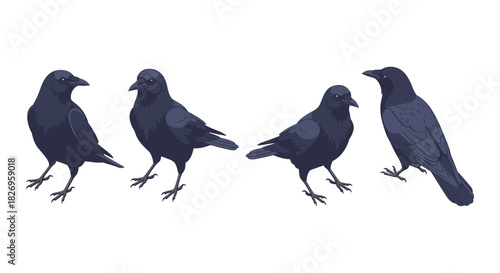 Crows group in detailed style on white background