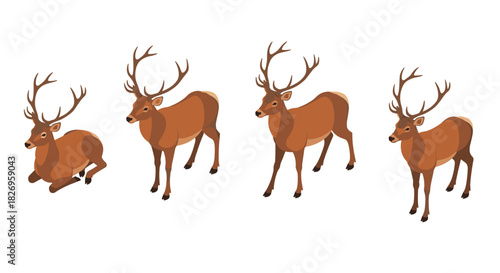 Isometric deer: elegant forest animals in various poses