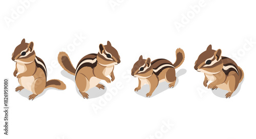 Isometric chipmunks set with various poses and angles on white background