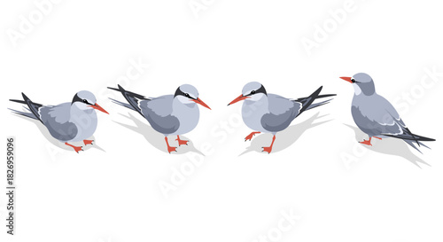 Elegant seagull variations in stylized minimalist art