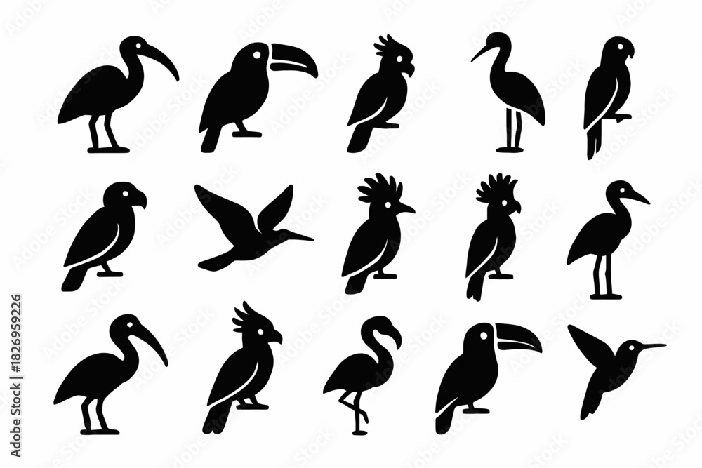 Fototapeta premium Silhouette collection of various bird species in distinctive poses