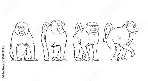 Linear baboon sketches depicting various poses