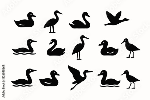 Silhouette collection of various waterfowl and bird species