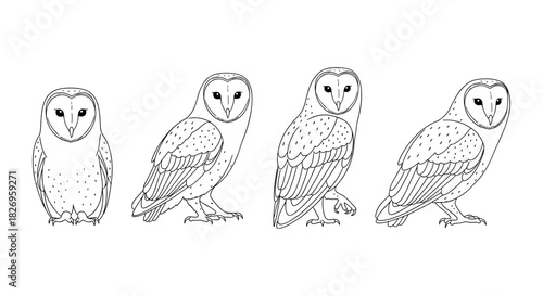 Barn owl set in minimalistic linear style - wildlife animal collection