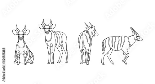 Linear line art of kudu antelope in various poses on white background