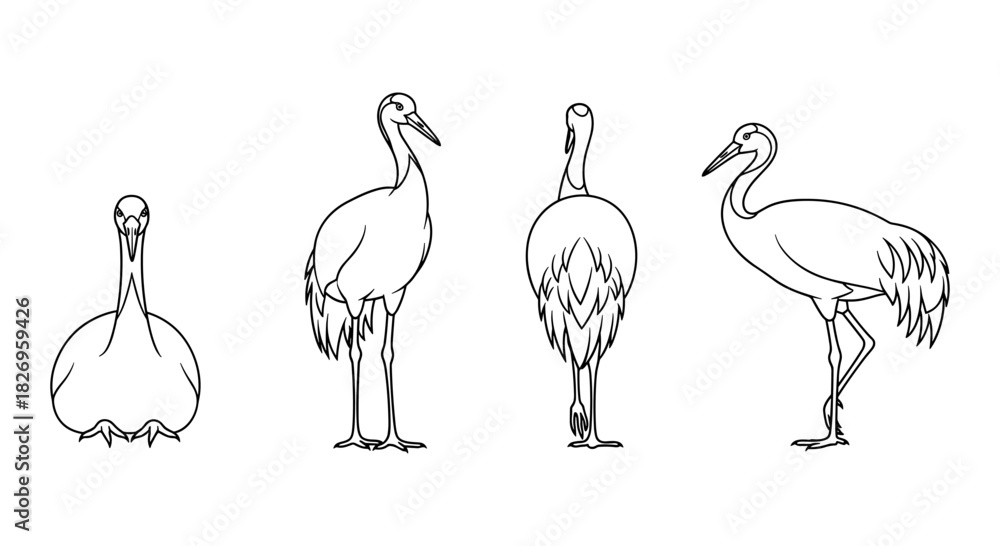Obraz premium Elegant bird silhouettes in minimalist outline style showcasing different poses