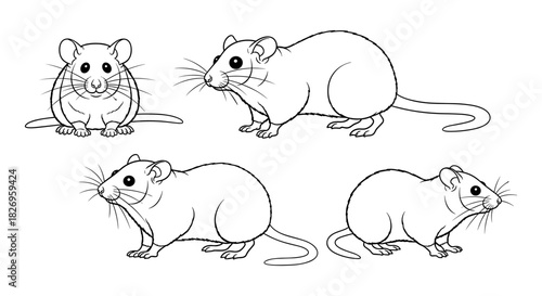 Outline drawings of mice in various poses for animal diagrams