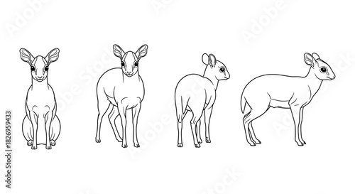 Cute cartoon deer in various poses: front, back, and side views