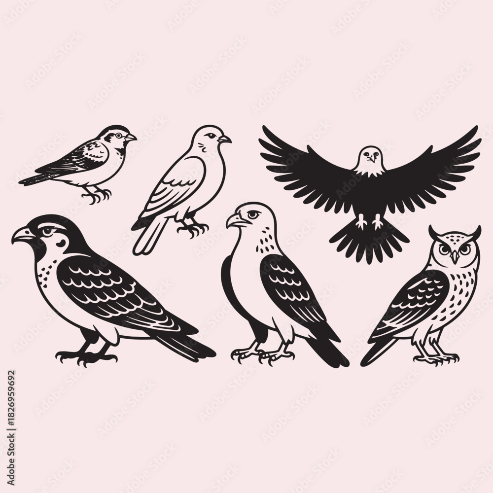 Obraz premium Collection Of Six Different Bird Silhouettes In Line Art birds eagle