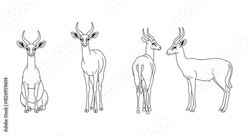 Elegant antelope silhouettes in various poses on white background