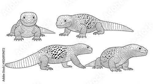 Detailed reptile line art set with geometric patterns