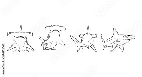 Hammerhead shark line art in multiple angles for marine design projects