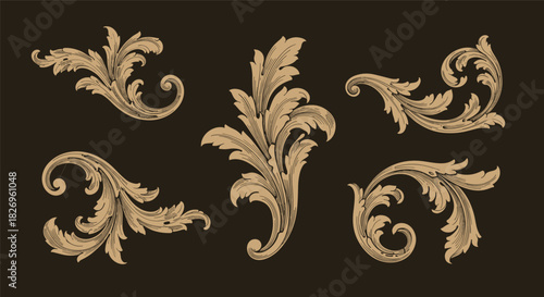 Elegant vintage flourishes, baroque leaf scrolls, ornate decorative elements, classical embellishments, antique design motifs, beige ornamental swirls, black background accents