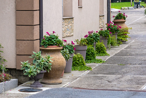 Green flower plants inside clay pots outside on street garden
