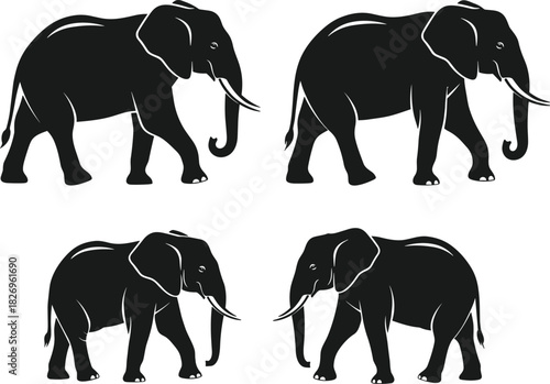 Elephant silhouette set, walking pose, tusks and trunk, wildlife icon, safari theme, black vector, animal graphic, nature design