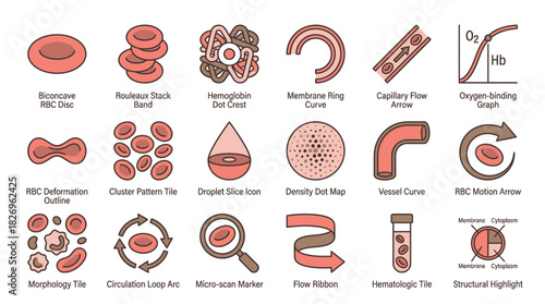 Explore human blood cell structures with this detailed collection, perfect for educational materials, medical illustrations, and scientific publications about hematology and blood analysis