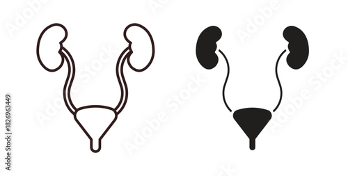 Urology icon concept. Glyph vector illustration isolated. Simple solid style.
